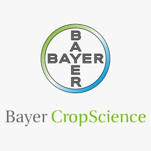Job logo billede