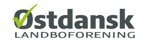 Job logo billede