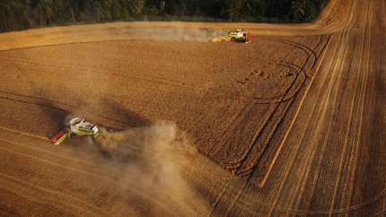 Som en følge af gode markedsforhold for afgrøder og mælk, samt høj effektivitet i alle driftsgrene, opjusterer det børsnoterede storlandbrug FirstFarms A/S forventningerne til årets resultat. Indfries forventningerne, bliver 2022-resultatet det bedste til dato.
