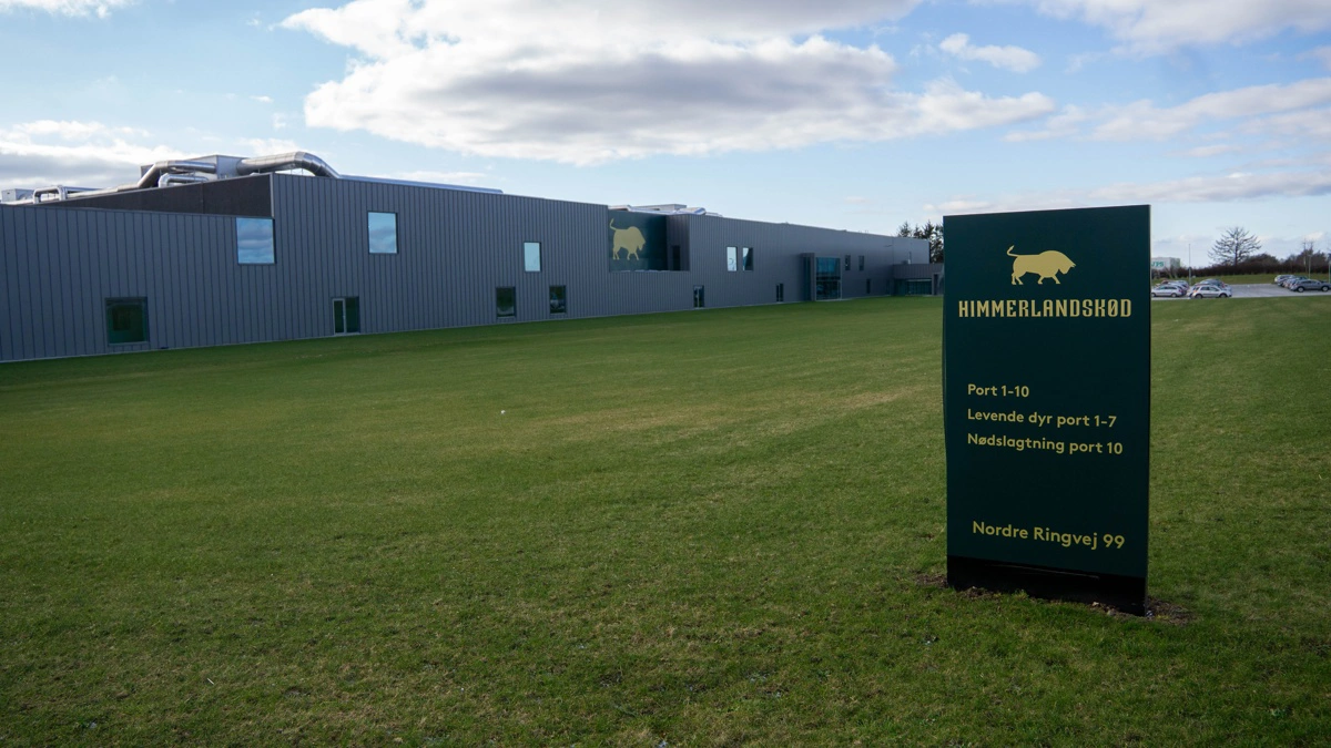 Himmerlandskød har ansat Torben Sønnichsen som ny driftsdirektør, og han får en central rolle i det nye selskab Moert, man har stiftet joint venture med Tican. Arkivfoto: Søren Nørgaard