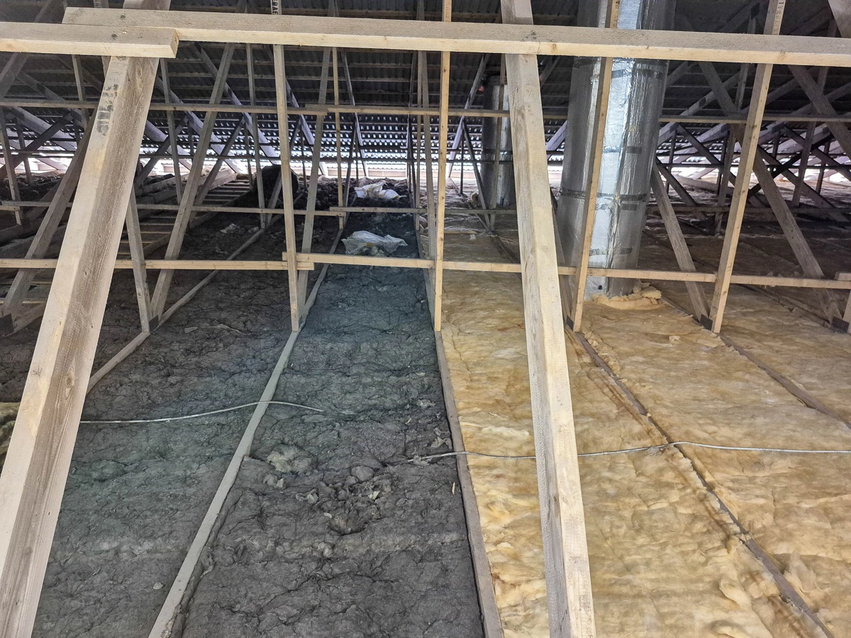 Ifølge direktør Dennis Nielsen er der flere ting, der kan indikere om ens isolering i svinestalden skal udskiftes.