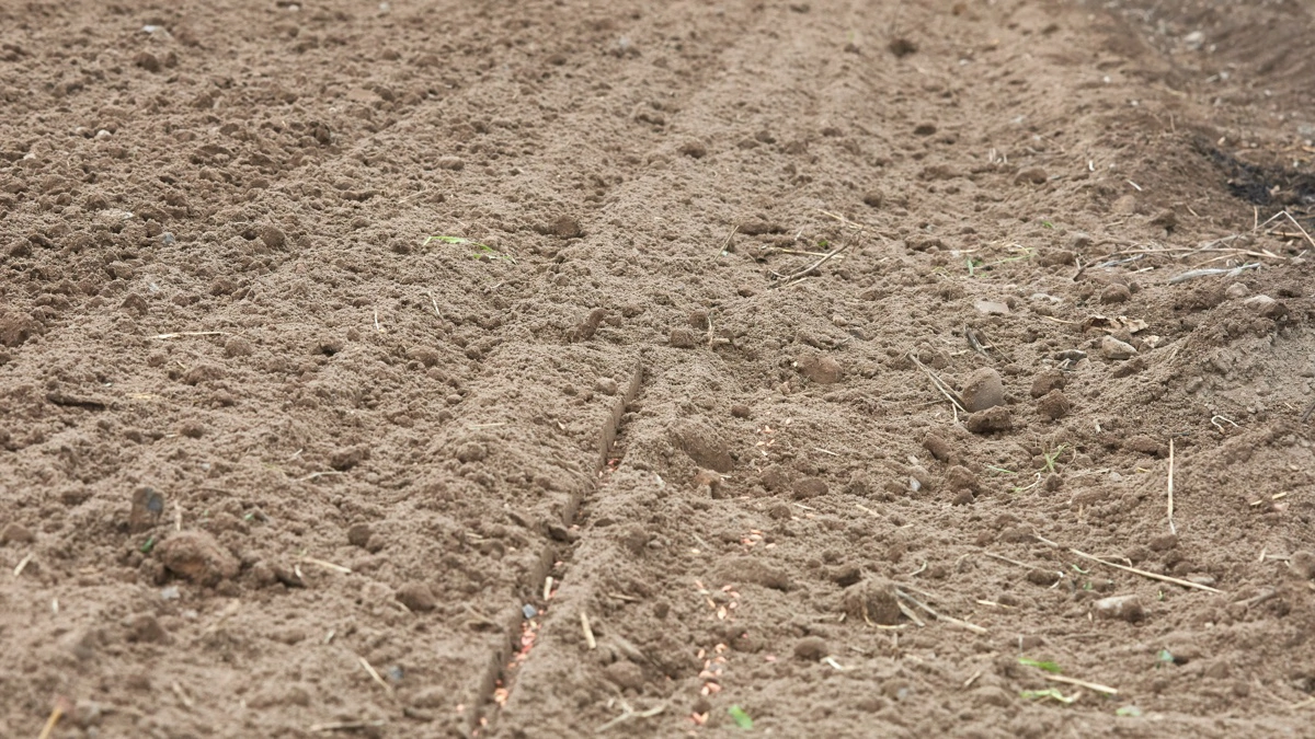 Viborg Byråd har godkendt, at planlægning og idéfase for den statslige industripark vest for Ørum på noget af kommunens bedste landbrugsjord sættes i gang. Arkivfoto (Stammer ikke fra det pågældende sted)