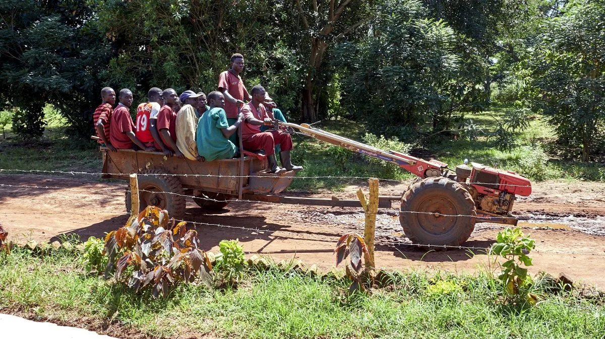 Der er ofte rigeligt med arbejdskraft på landbrug i Uganda. Fotos: Niels Damsgaard Hansen