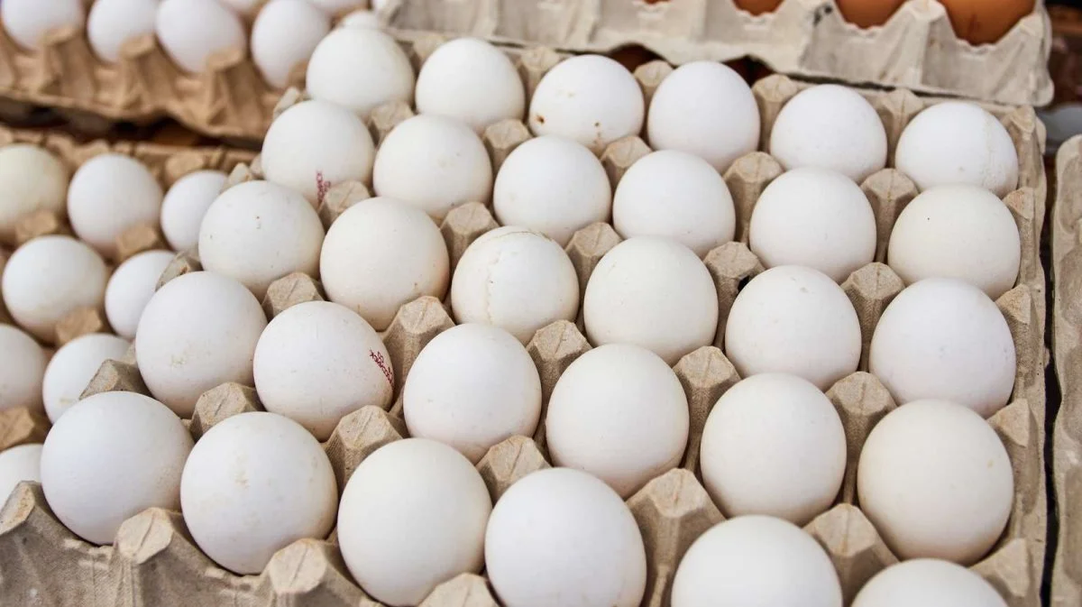 Danske æg har markant lavere klimaaftryk i dag end tidligere. Foto: Colourbox