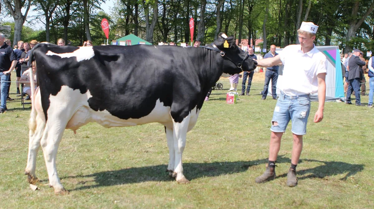 Bedste yver: 39711-04354 1st Grade-datter fra Rægaard I/S, Fjerritslev