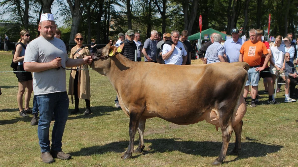 Bedste Jersey: 64510-03014 VJ Libby-datter fra Christoffer Østergaard Sunesen, Aars
