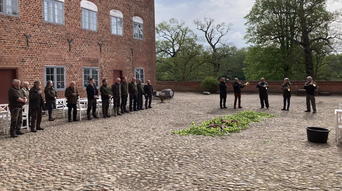 16. maj er der bukketræf på Gammel Estrup, og årets buk kåres til tonerne fra Auning Jagtforenings jagtblæsere. .