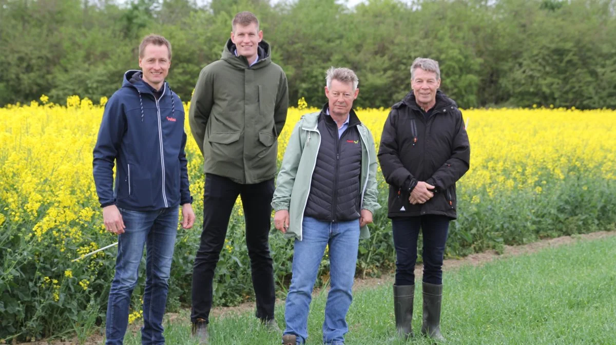 På 10. år inviteres der til marktræf i forsøgsmarken bag Danish Agro i Nr. Søby. Midt i maj var fire af de involverede konsulenter i marken for at inspicere forholdene. Fra venstre Anders Sigersted, planteavlskonsulent, Velas, Torben Høegh, salgskonsulent Danish Agro, Michael Lorentzen, markedschef Danish Agro og afdelingsleder planteavl, Velas, Troels Melvang. Fotos: Henriette Lemvig