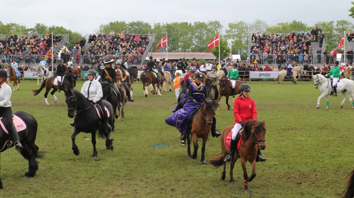 Omkring 230 heste deltager i Det Store Hesteshow, som på den måde et blandt Europas største hesteshows. Foto: Jesper Hallgren