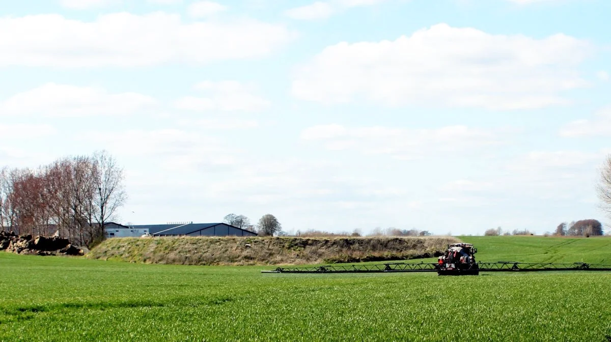 Vintersæden står fint på Bornholm, selv om det er flere uger siden, det sidst regnede på klippeøen. Arkivfoto: Jacob Lund-Larsen