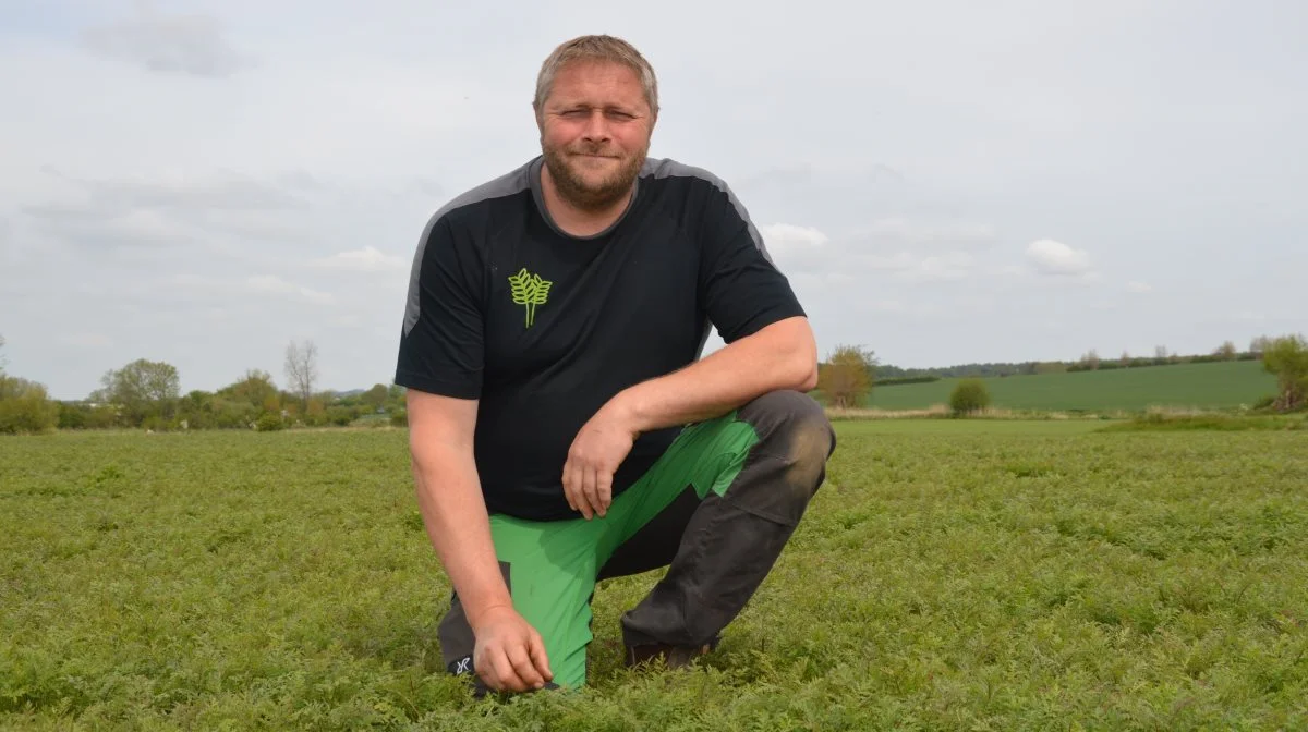 - Du trækkes lige meget i kvælstof, uanset hvilken efterafgrødesort, du vælger. Derfor kan du lige så godt vælge en sort, der går mest muligt i dybden og kan trække mest kvælstof op, lyder det fra Lars Bønløkke. Fotos: Henriette Lemvig