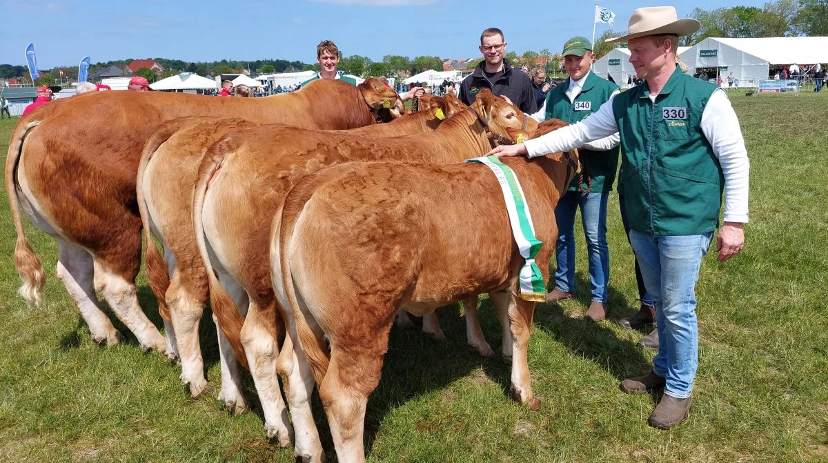 Fredagen bød også på interbreed-konkurrencen. Her blev bedste besætningsgruppe Limousine-gruppen fra Skovlund Limousine ved Toftlund, hvorfra tyren Skovlund Ryan også blev skuet bedste tyr. Foto: John Ankersen