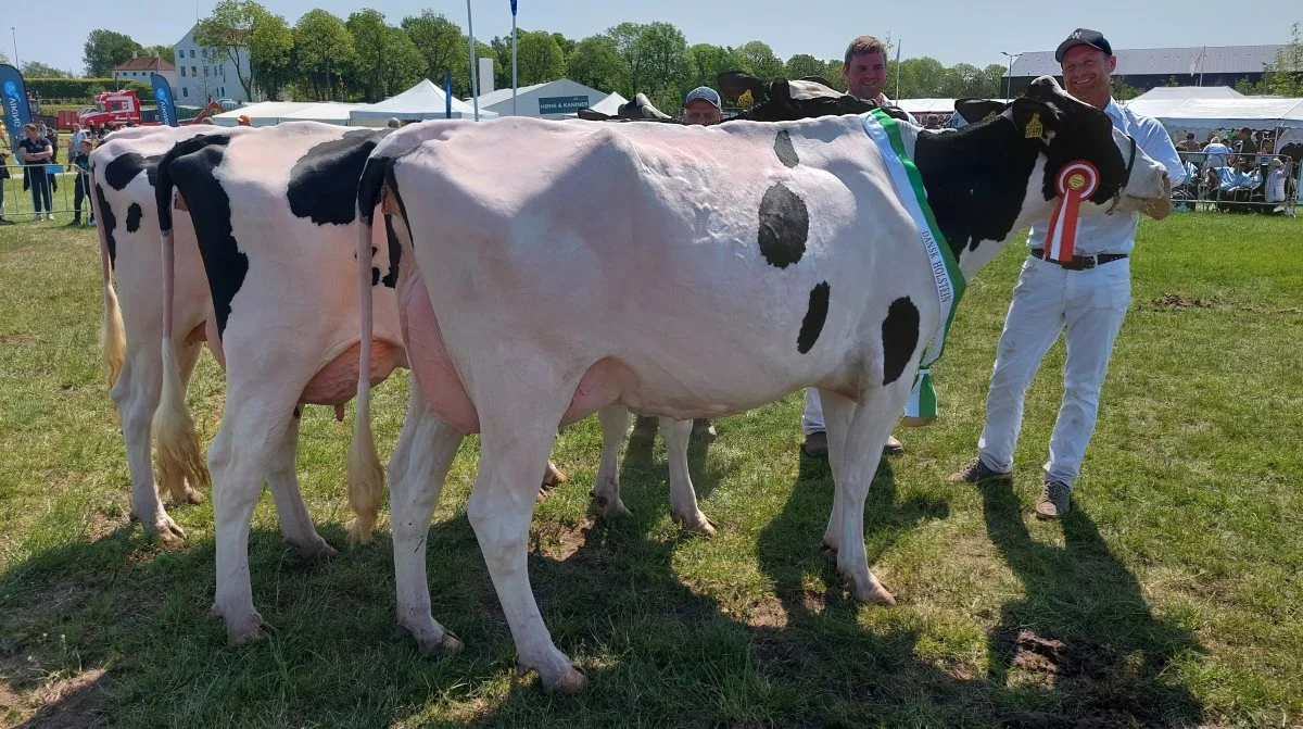 Bedste besætningsgruppe – Holstein, blev gruppen fra Stakkehavegaard, Vojens. Foto: John Ankersen