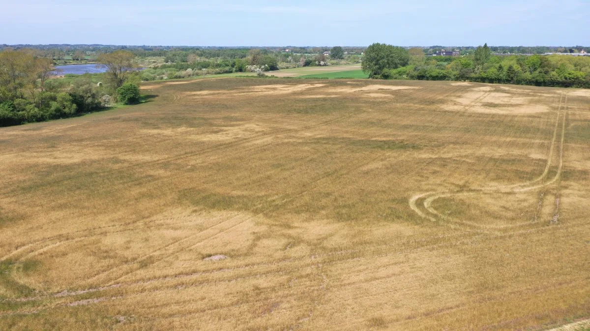 Dronefoto fra onsdag formiddag viser tydelige tørkepletter i græsmarker på det østlige Fyn. Foto: Per Jørgensen