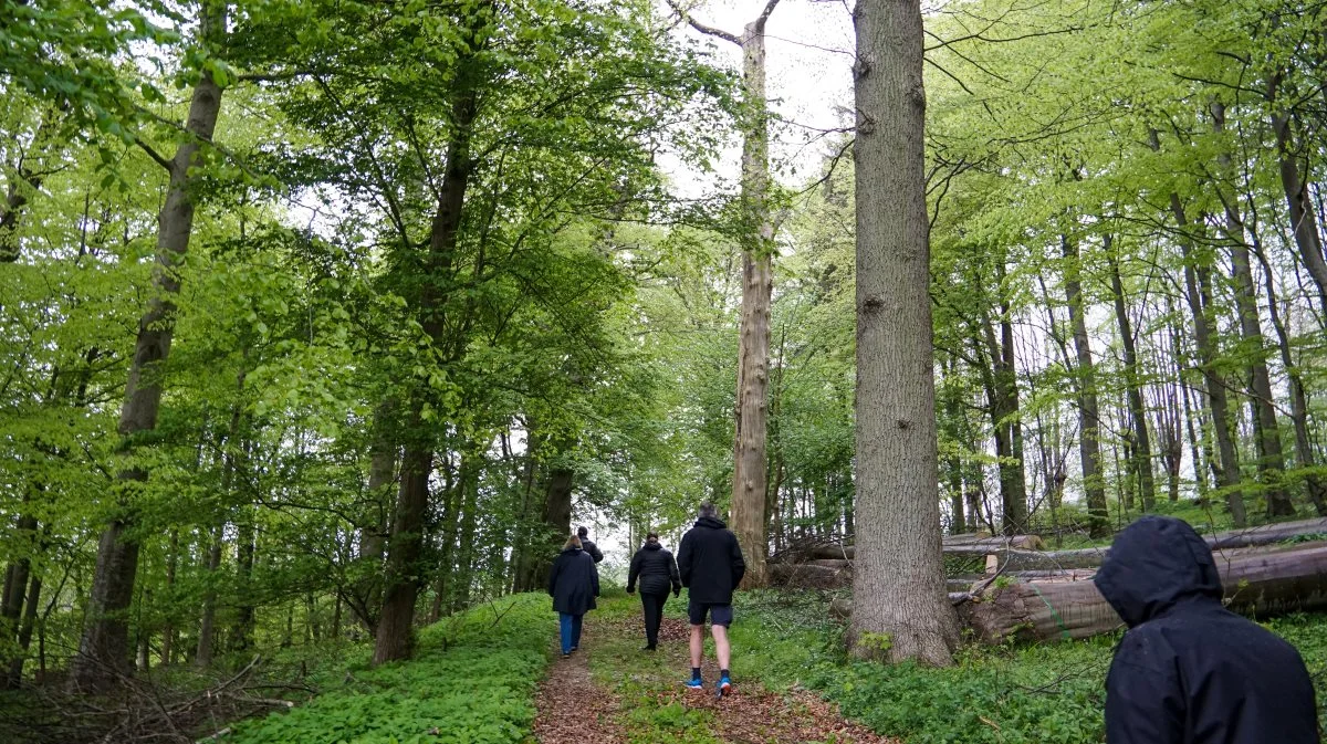 Ifølge Velas kan lodsejere gøre meget for at hjælpe biodiversiteten på rette vej, hvilket Lykkeskoven på Stensballegaard Gods er et oplagt eksempel på, hvor det ikke bare har handlet om at lade det hele gro til. Fotos: Alexander Dornwirth