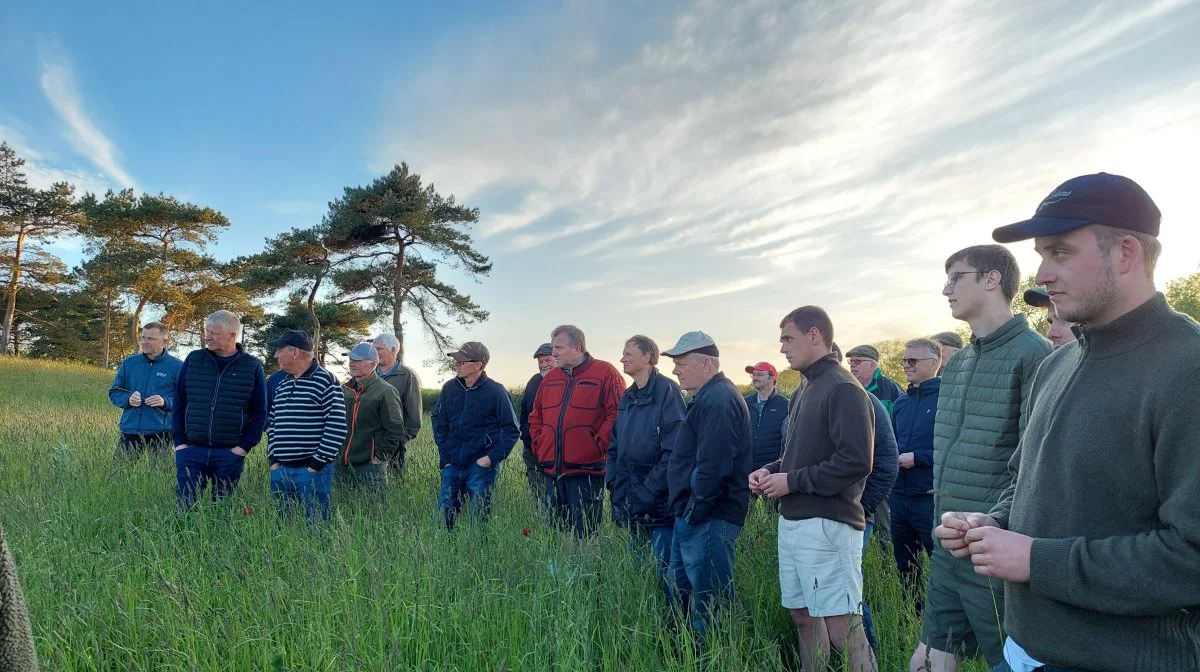 Onsdag aften tilbragte en flok fynske frøavlere med en vandring i østfynske frømarker. Fotos: Camilla Bønløkke