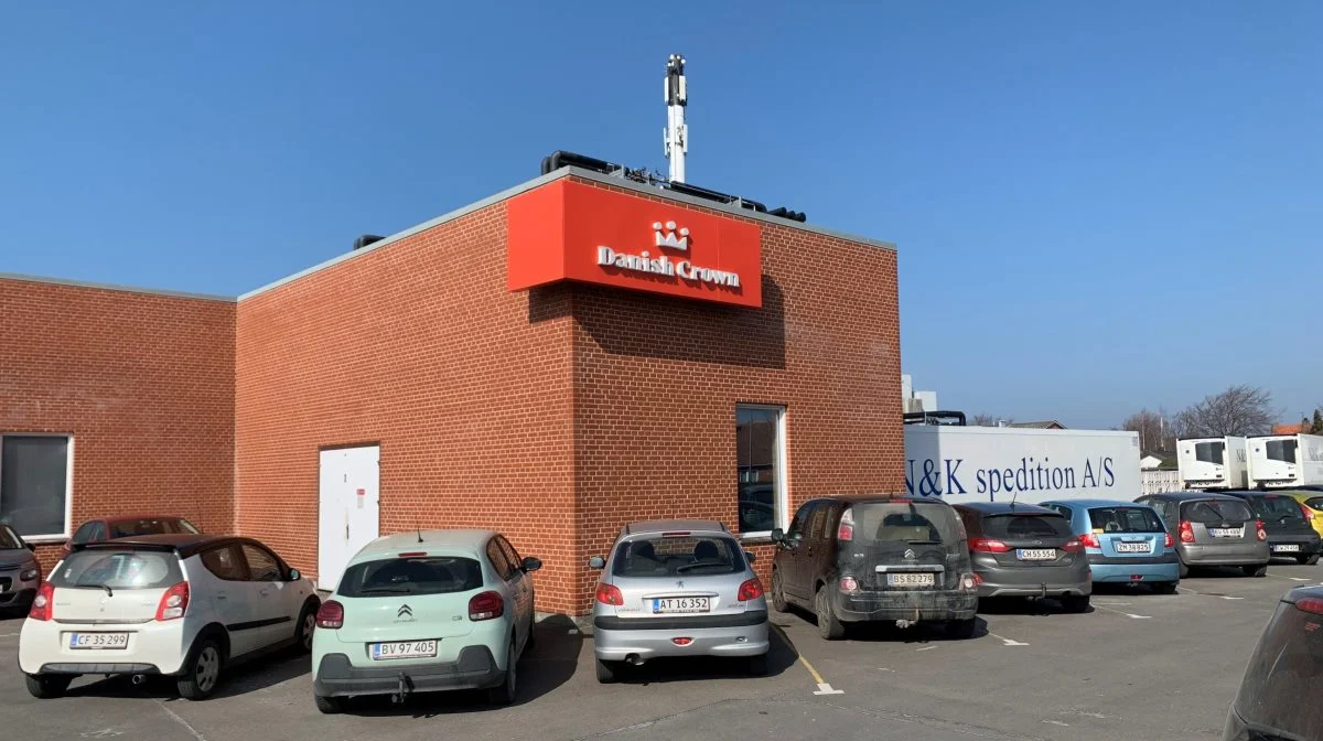 Slagteriet i Rønne får lukkedage, når Bornholm skal være PRRS-fri. Men nu er der fundet en løsning, der gør, at medarbejderne på slagteriet får løn som normalt. Foto: Jesper Hallgren