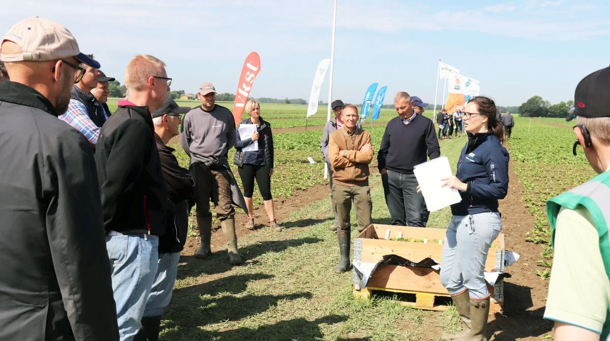 Deltagerne kan vælge at deltage på Roedag 2023 om formiddagen eller om eftermiddagen - programmet er det samme. Her et billede fra en tidligere Roedag, der efterhånden er blevet en fast tradition. Foto: Jørgen P. Jensen