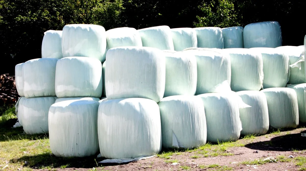 Landbruget skal sortere og genanvende mere af den plast der bruges ude på bedrifterne – som eksempelvis wrapplast. Arkivfoto: Tenna Bang

