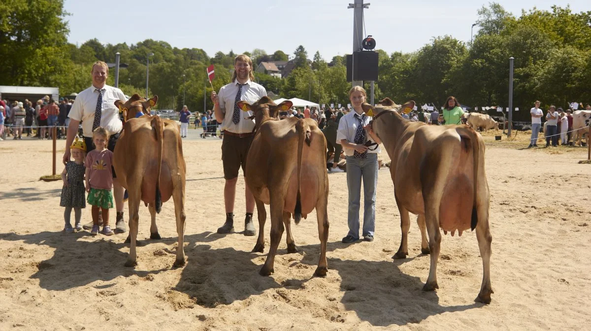 Bedste jersey-besætningsgruppe: Tastum Jersey, Stoholm. 