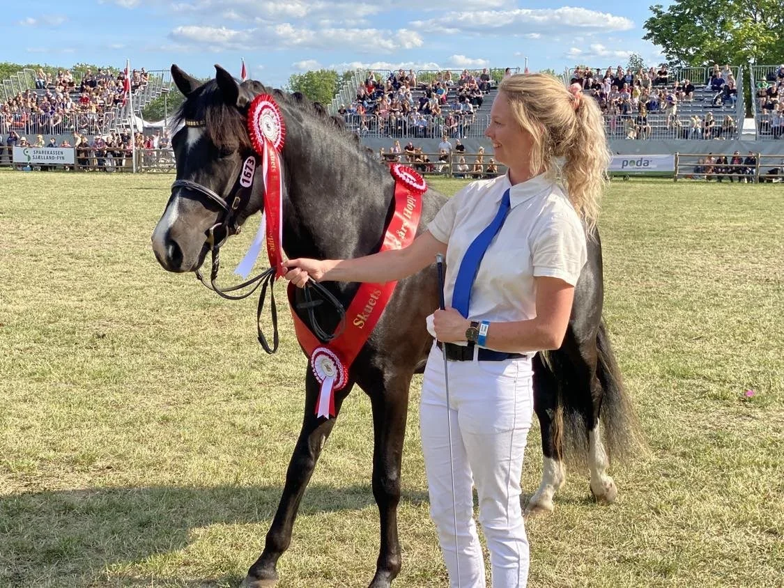 Bedste 3-års hoppe: New forest-hoppen Romeo’s Unique fra Stutteri Romeo ved St. Merløse - her med Maria Fisker Nielsen. Foto: Rie Ebbe Andersen 