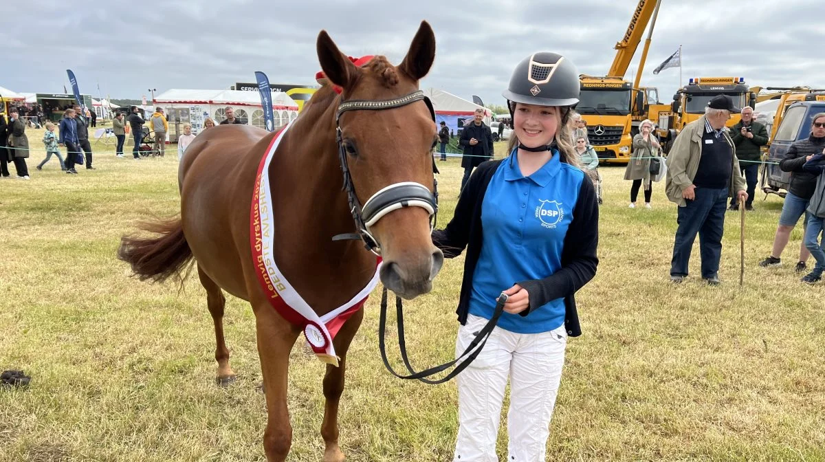 Skuets bedste hest: Dansk Sports Pony fra Caroline Stougård.