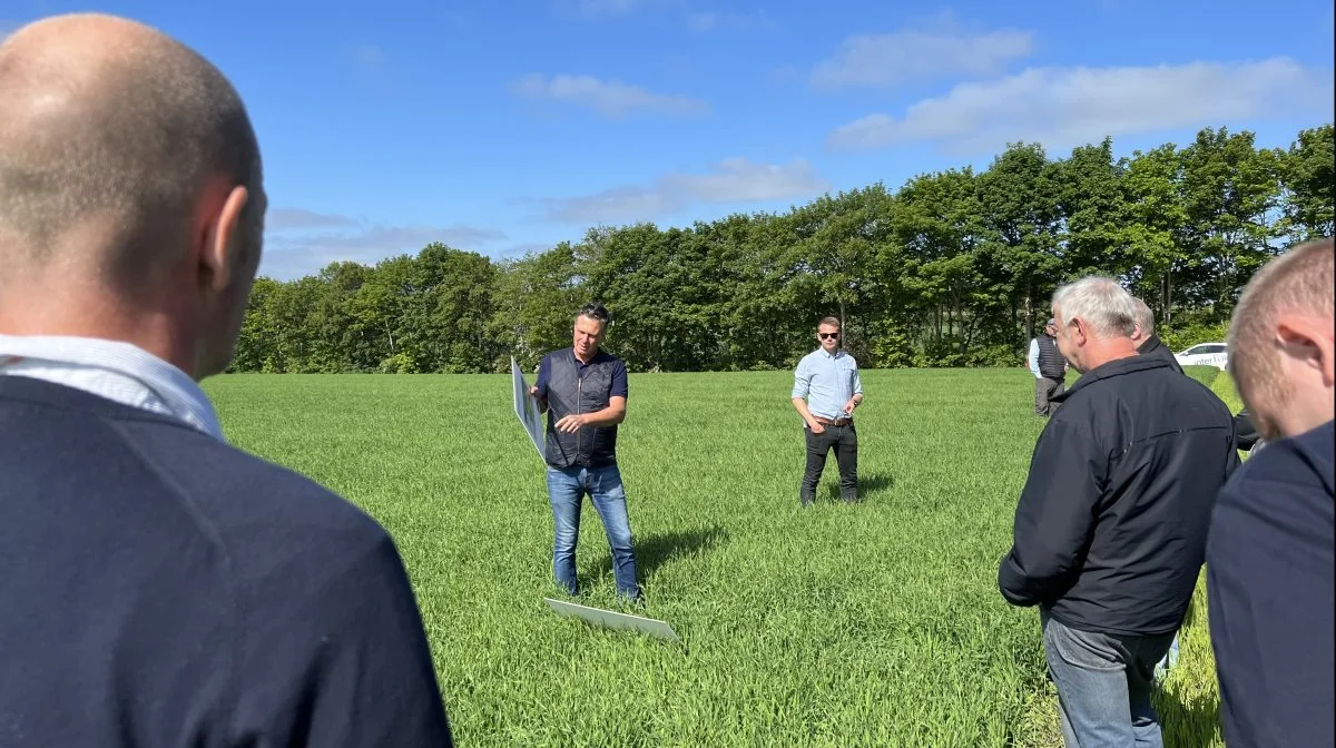 Jacob Skodborg Jensen fra BASF fortalte om de evner, midler som Pictor Active og Comet Pro har til at beskytte planten mod stress, som er dokumenteret under varme forhold i blandt andet USA. 