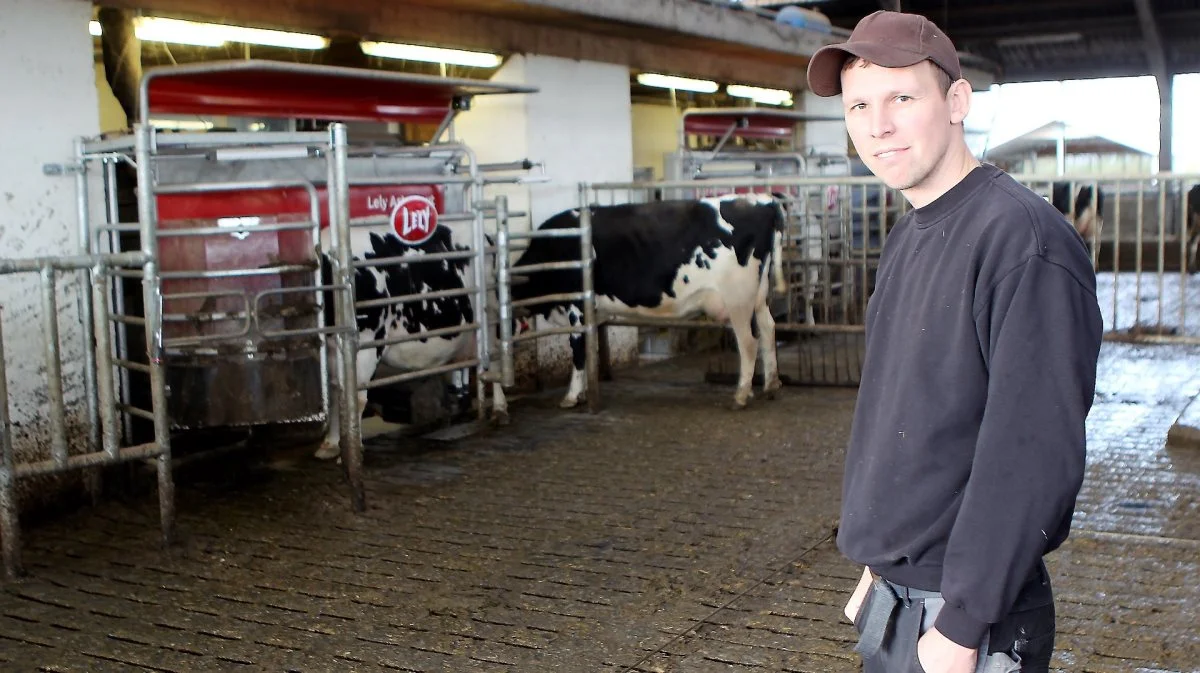 Thomas Staun ærgrer sig over, at nogen tilsyneladende har lukket de tre ungdyr ud. Arkivfoto: Christian Carus