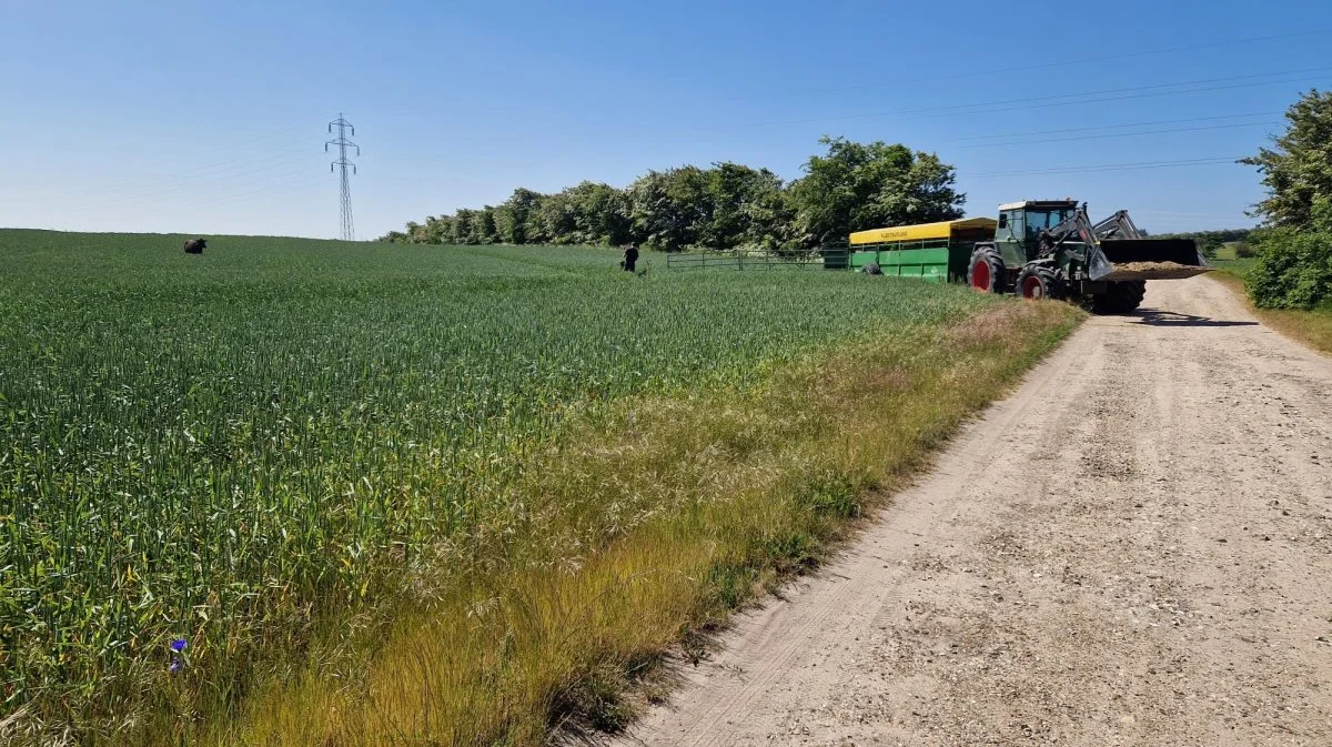 En velkendt vogn, foder og vand var ikke nok til at lokke studen med hjem. Privatfoto