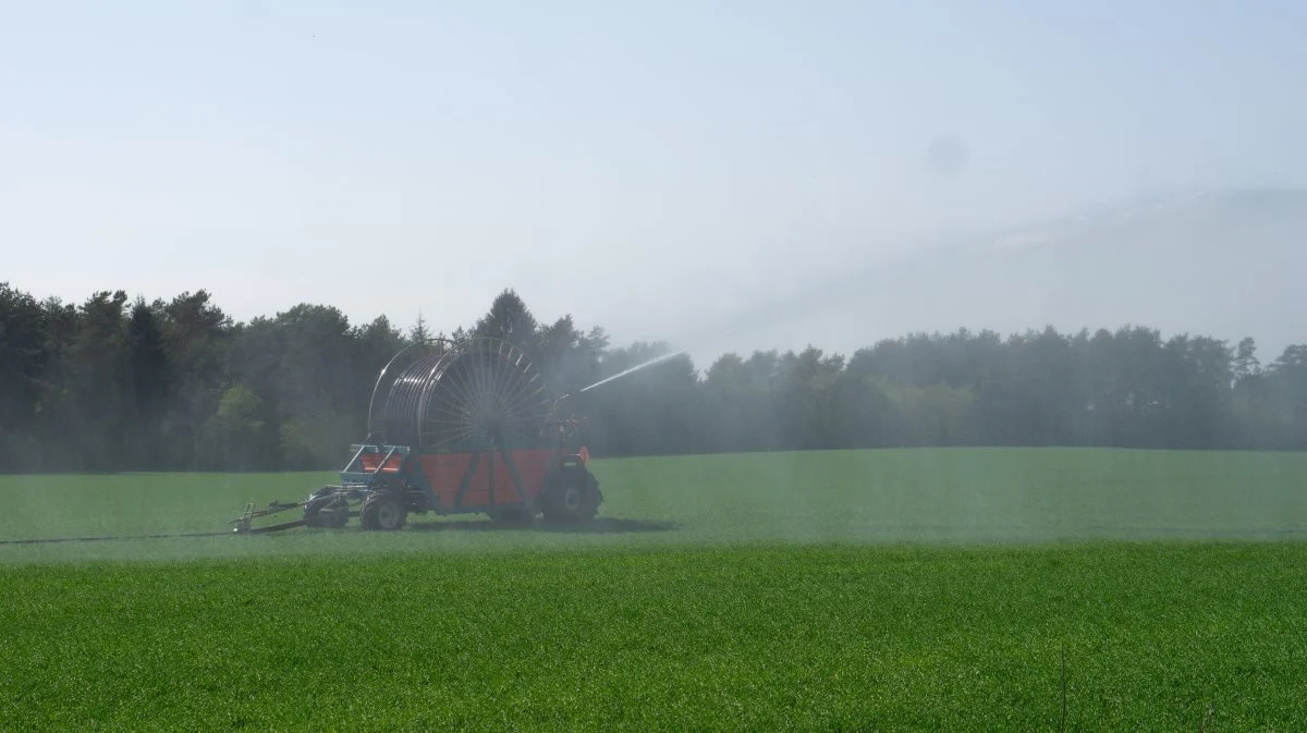 Mange steder, især i Jylland, er der fuld gang i vandingsanlæggene. Men det er ikke alle steder i Danmark, at der er mulighed for at vande markerne. Foto: Henning K. Andersen