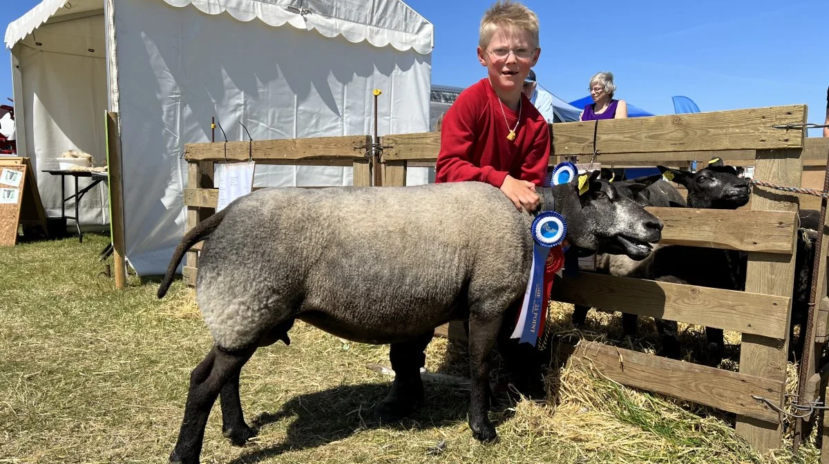 Skuets bedste får: Blå Texel fra Alexander og Thomas Brogaard, Hellerød på Thyholm. 