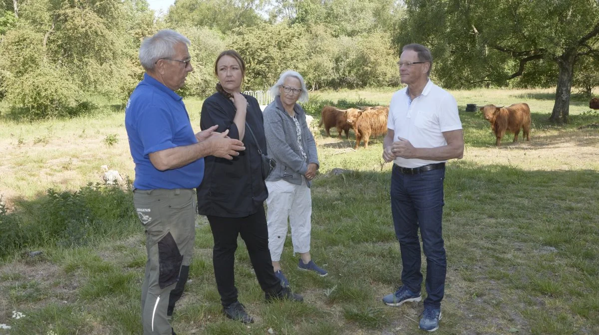 De fynske kødkvægfolk, fra venstre Jørgen Andersen, Lamdrup Naturkvæg, Christina Jespersen, Gudme Slagteri, og Jytte Schaldemose, Jersore Galloway, glæder sig over, at det med Erling Bonnesens mellemkomst er lykkes politisk at få lempet reglerne for markskydning.           