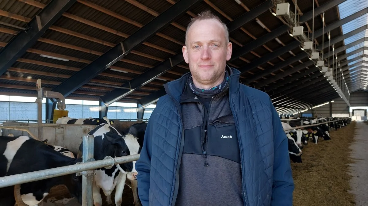 Det er positivt, hvis det bliver muligt at inddrage brakarealer til produktion, men i det store billede kan det ikke redde udfordringerne med tørken, lyder det fra formanden for Vestjysk, Jacob Spangsberg. Pressefoto