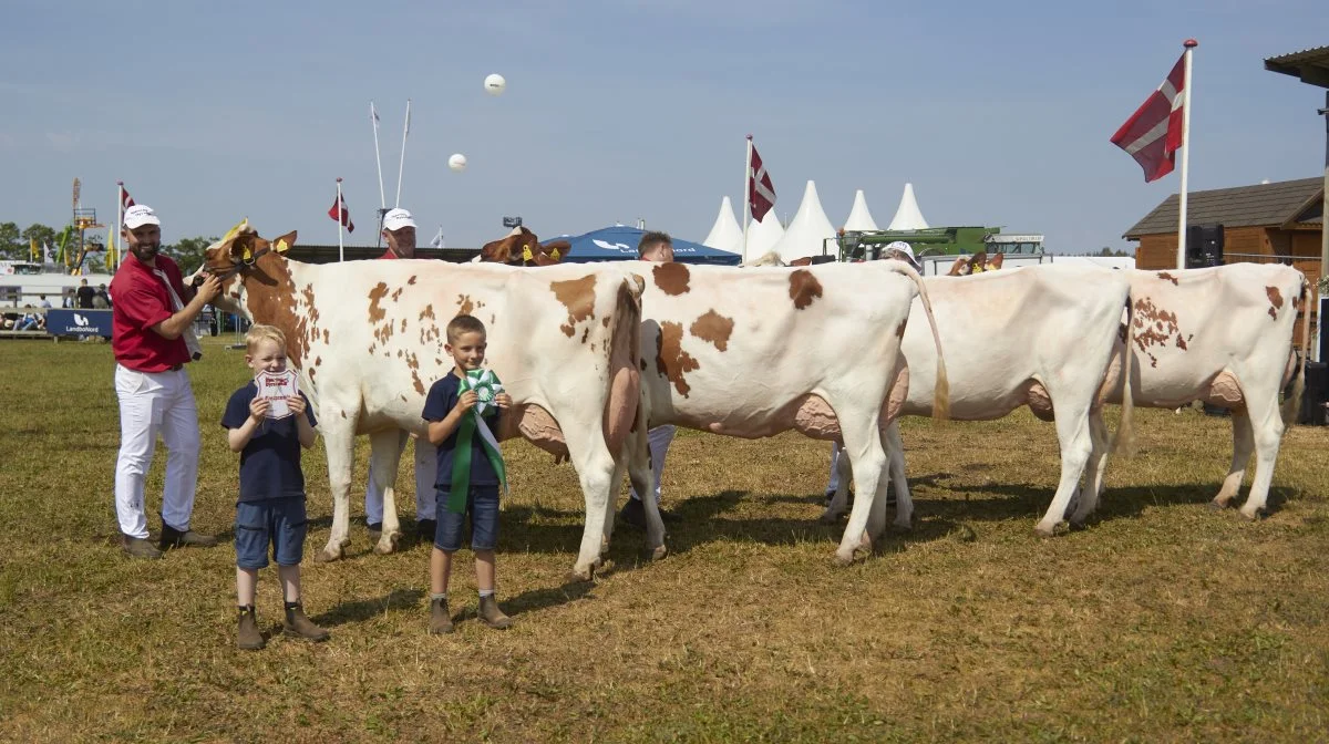 Bedste DRH-besætningsgruppe: Borup Holstein, Vrå.
