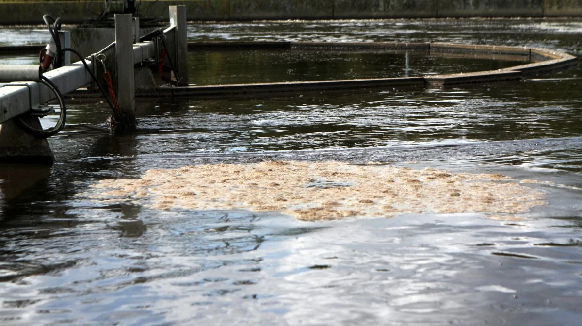 "Jeg har igennem nogle år forsøgt, at få de lærde til at forholde sig til forholdene i Kertinge Nor, hvor kloakvandet i 1989 blev sendt til et rensningsanlæg i stedet for ud i noret, hvorefter livet er vendt tilbage til noret, selvom landbrugsdriften fortsatte ufortrødent med sin kvælstofudledning," skriver læserbrevsskribenten. Arkivfoto