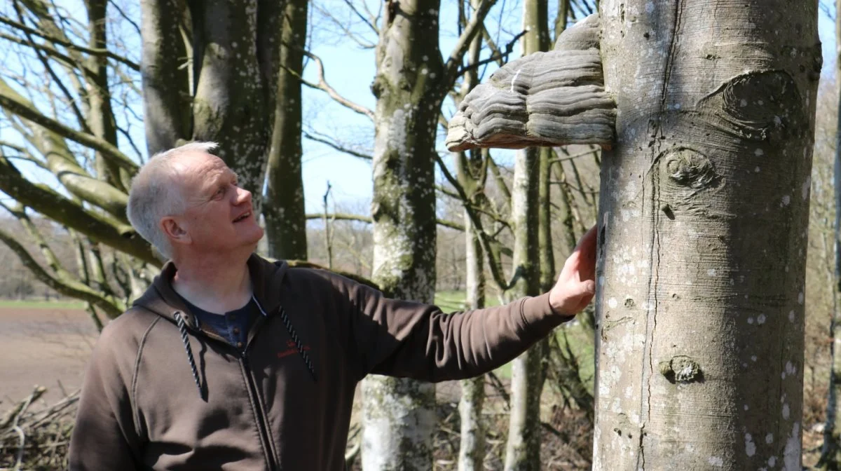 - Hensigten med reglerne har vel aldrig været, at de skulle stoppe os fra at etablere mere natur, lyder det fra Mogens Højholt Hansen. Foto: LandboNord