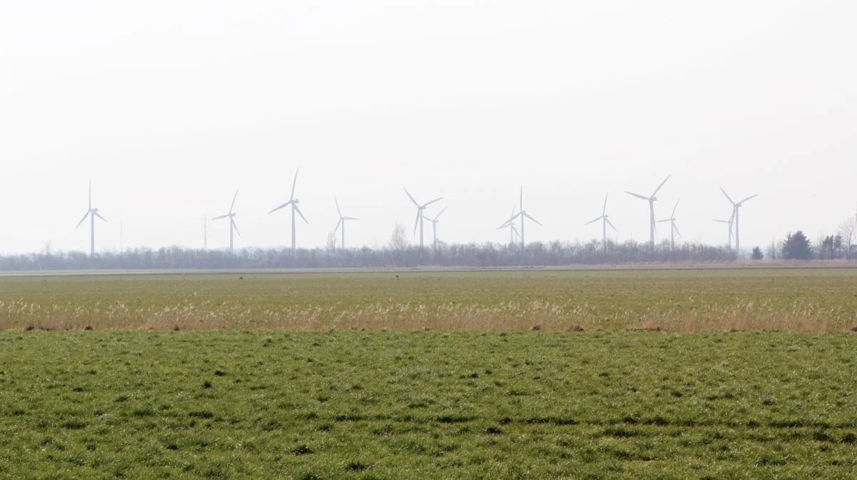 Af diverse offentlige diskussioner om en CO2-afgift på landbruget – blandt andet på Folkemødet forleden – får man indtryk af, at det slet ikke er klimaet, man vil hjælpe. Nej da. Politikere, forskere og meningsdannere vil tilsyneladende bare have en ny skat indført, skriver formanden for Bæredygtigt Landbrug i debatindlægget. Arkivfoto