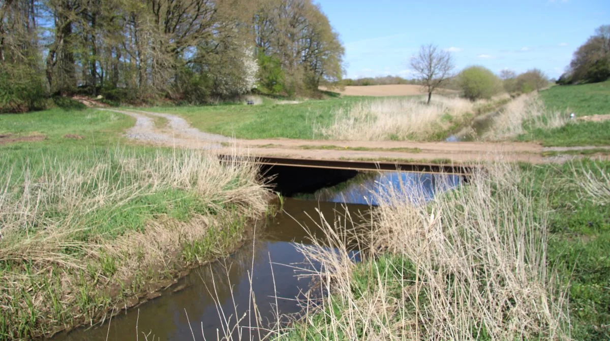 Efter første vandplan så dagens lys, og alle vandløb i Danmark »næsten var naturlige«, er eneste lyspunkt i den netop udsendte vandplan 3, at der nu skal ses på dette. Der er meget få, måske ingen naturlige vandløb, alle er tilrettet og ændret gennem generationer, skriver Holger Lunden. Arkivfoto: Morten Ipsen