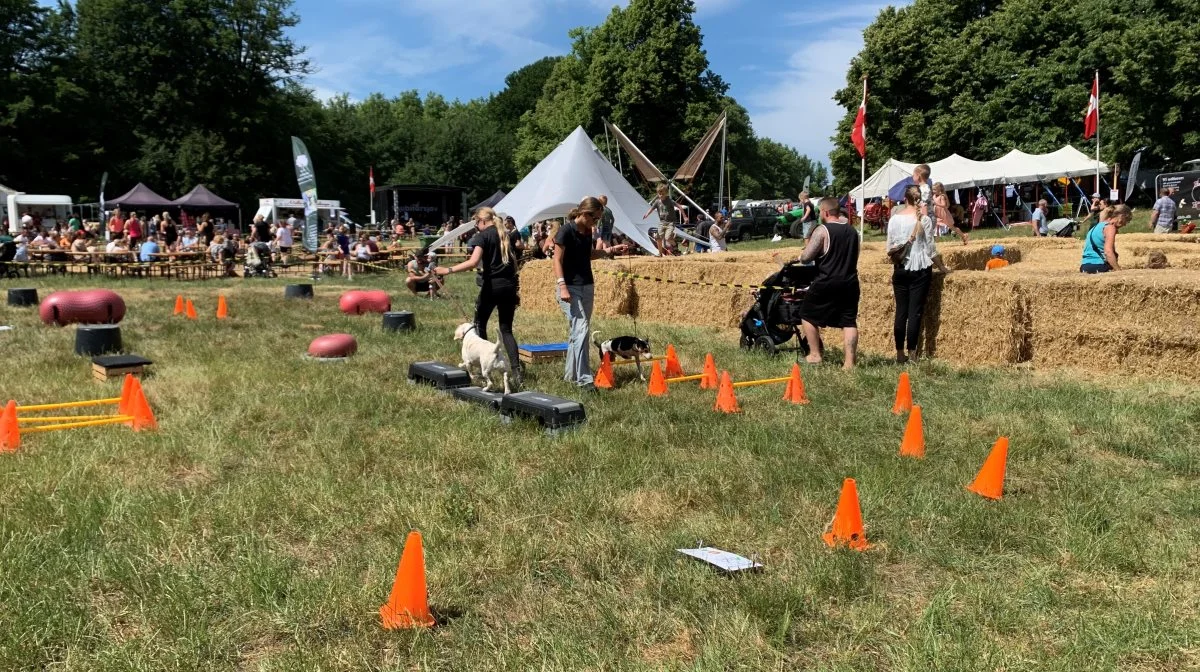 Programmet bød på masser af aktiviteter - både med og uden dyr - i løbet af weekenden. Foto: Jesper Hallgren