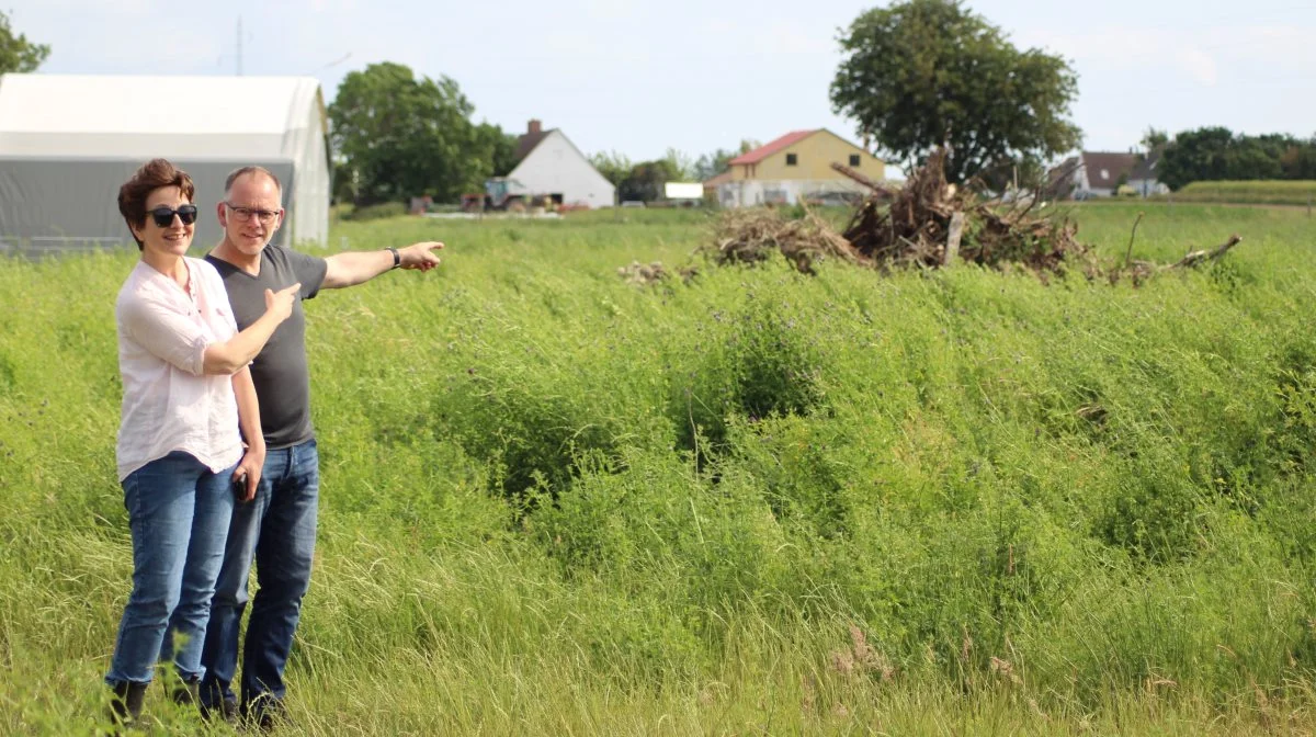 - Her skal vores koncerthus ligge, viser operasangerne Lise Christensen og Michael Bracegirdle, der har skiftet London ud med Samsø og er ved at omdanne deres ejendom Søholm til et kultuelt kraftcenter. Foto: Anne Wolfenberg 