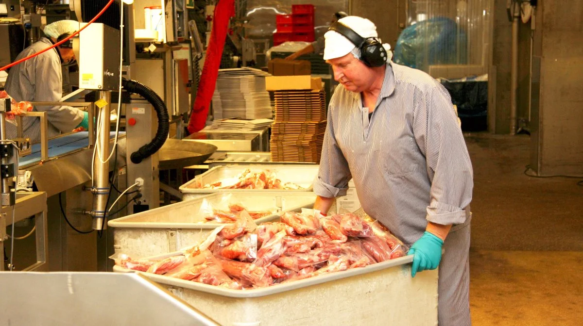 Tican, der har hovedkvarter i Thisted (billedet) og en afdeling i Brørup, overtog i løbet af året aktiemajoriteten i Moesgaard Meat. Arkivfoto 
