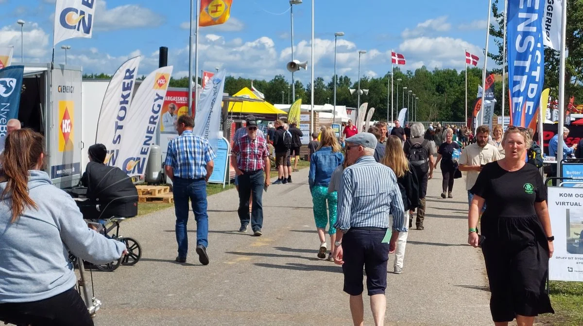 Perfekt dyrskuevejr trak folk til Landsskuet fredag, hvor andendagen af skuet fandt sted. Foto: John Ankersen