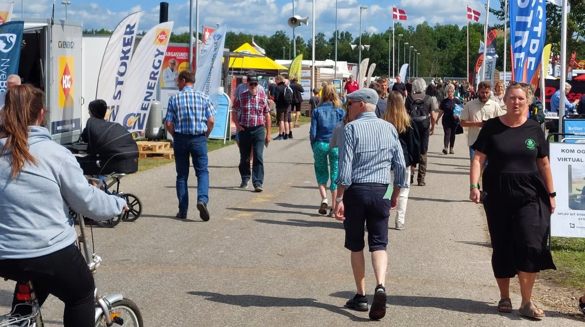 Flot dyrskuevejr fra fredagen på Landsskuet i Herning. Foto: John Ankersen
