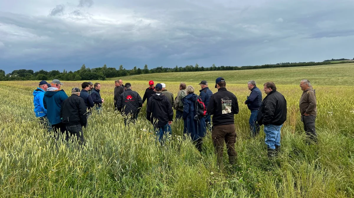 - Det har selvfølgelig været en dag med inspiration til, hvordan vi kan arbejde på at mindske klimaaftrykket pr. kg. korn som økologiske landmænd. Spørgsmålet er jo, hvordan økologisk landbrug ser ud om fem år. Om vi bliver gode til at sikre høje udbytter, så vores korn har et lille klimaaftryk eller om der kan bruges en meget lille mængde kemi for at holde ukrudtsmængden nede i marken, siger Erik Staun, som deltog i dagens arrangement og selv driver 300 hektar økologisk landbrug.