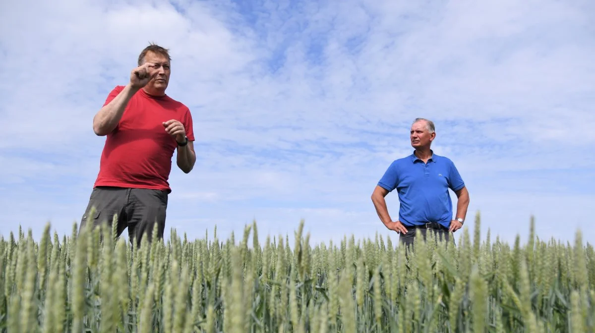Med conversation agriculture-principper er det kun de øverste 4 cm af jorden, der bliver behandlet, forklarer driftsleder Jan Jönsson (til venstre), under markbesøget. Foto: Cornelia Smet/European Union 2023