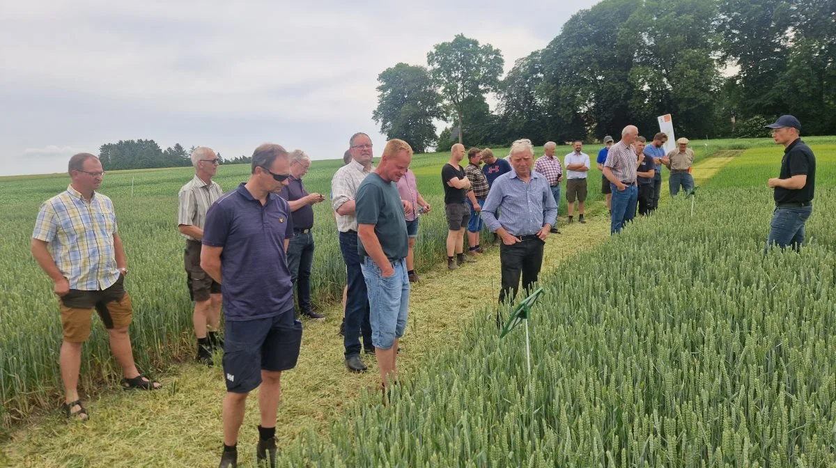 Der var pæn interesse og spørgelyst under Planternes Dag på Førslev Gods nær Fuglebjerg i Vestsjælland. Fotos: Henning K. Andersen