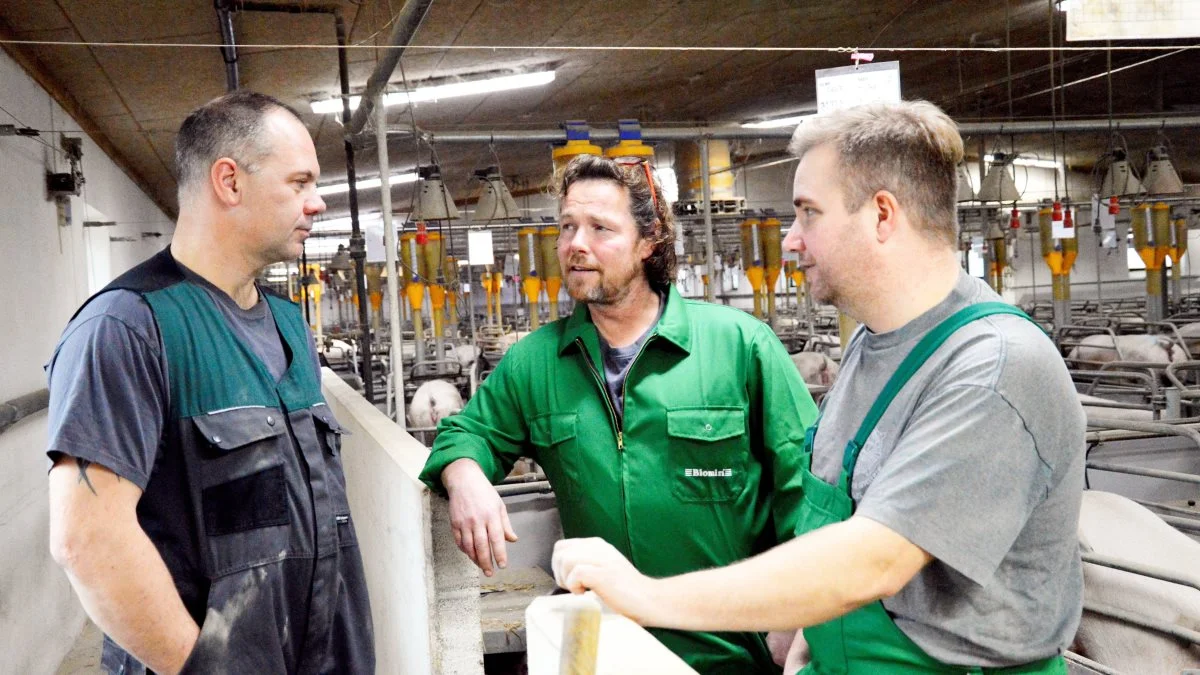 Svend Gammelgaard (tv) ses her i snak med Niels Nygaard Hansen fra firmaet NutriSuin (i midten) og Simon Skaarup Jensen, der er Technical Sales Manager for Svin ved det østrigske firma BIOMIN GmbH.