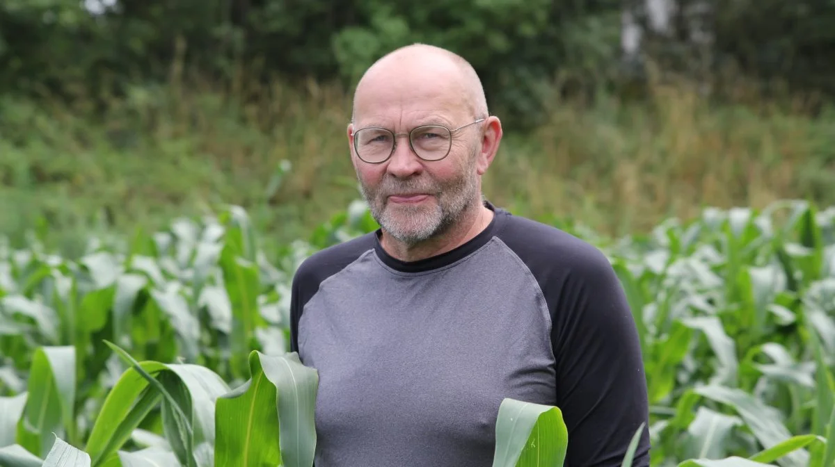 Morten Jensen i sukkermajsene.