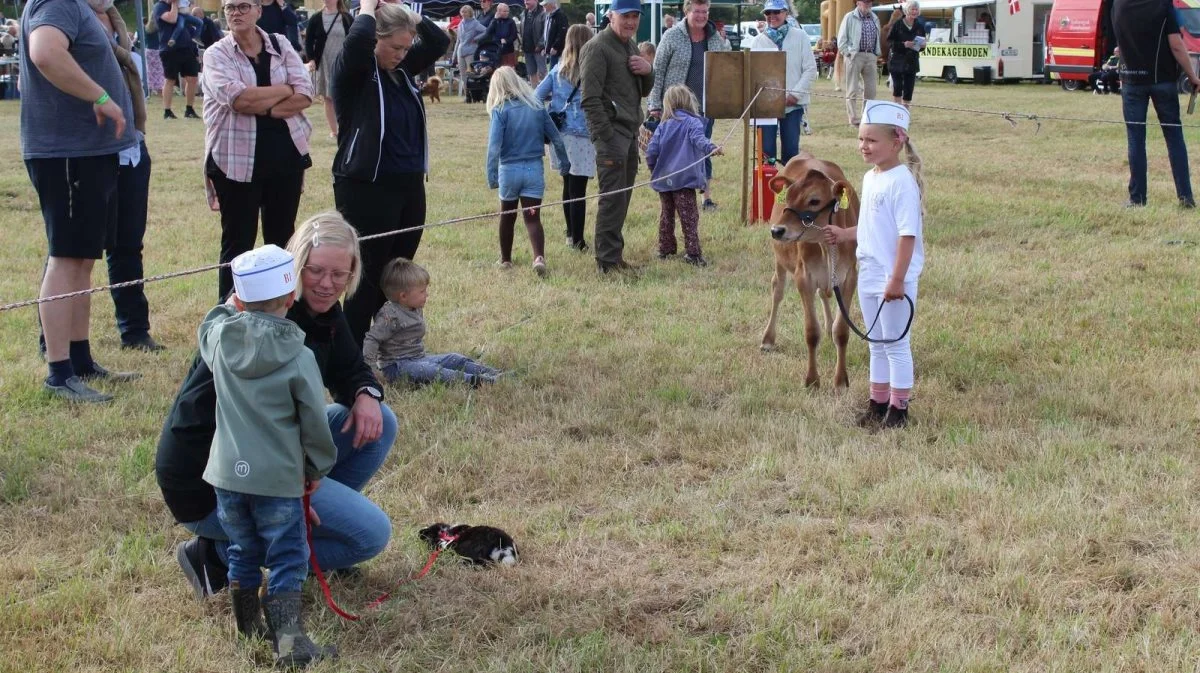 Ribe Dyrskue byder traditionen tro igen på det populære børnedyrskue. Her et foto fra sidste års børnedyrskue i Ribe. Foto: John Ankersen