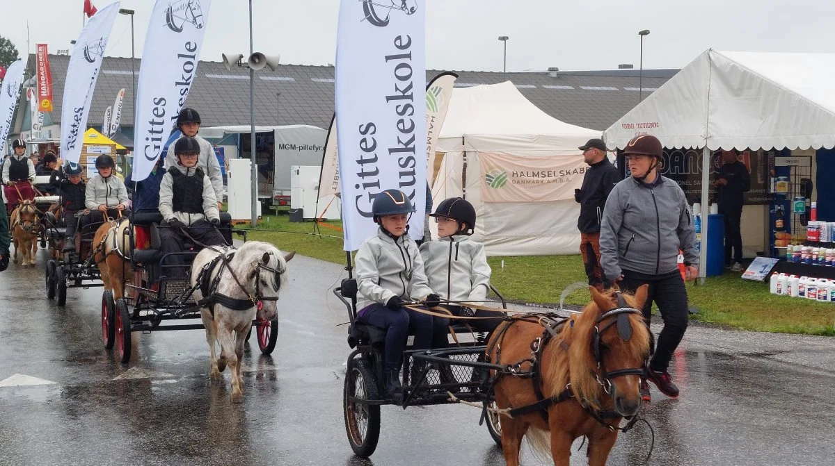 Gittes Kuskeskole i Rødding kan ses og opleves i forbindelse med Ribe Dyrskue – her fotograferet i forbindelse med Landsskuet i Herning denne sommer. Foto: John Ankersen
Byline: John Ankersen	